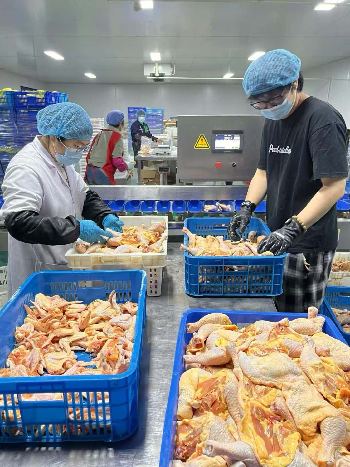 冷链仓储企业的生鲜分拣现场